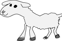 agneau
